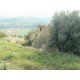Properties for Sale_Farmhouses to restore_Farmhouse Il Mandorlo in Le Marche_13